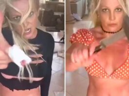 Britney Spears Knife Incident